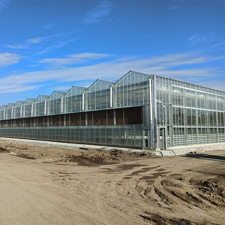 Greenhouse Garden Green House Outdoor Rainproof Plant Cover Backyard photovoltaic solar glass greenhouses