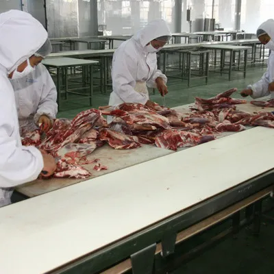 Automatic Slaughtering Equipment Production Line for Pig and Cattle Efficient and Humane Slaughtering Process