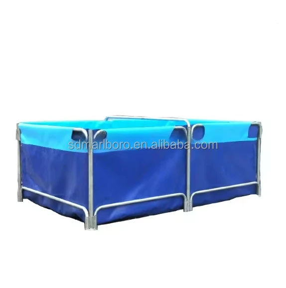 Customizing large size Aquaculture PVC Rectangular Fish Farming tank with steel support For Sturgeon Shrimp farming