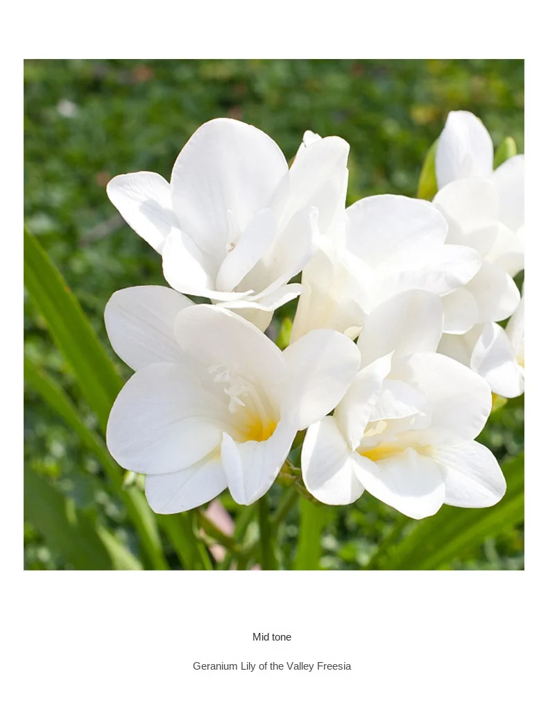 4002A071FEBB618287CD954BD448462E