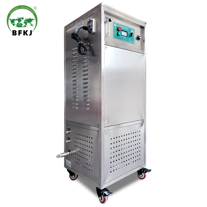 Ozone Generator Water Treatment System For Underground Drinking Water 30g Air Purifier For Room Car Ozone Sterilizer