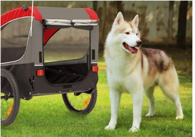 
colorful bike trailer cart for big dog 