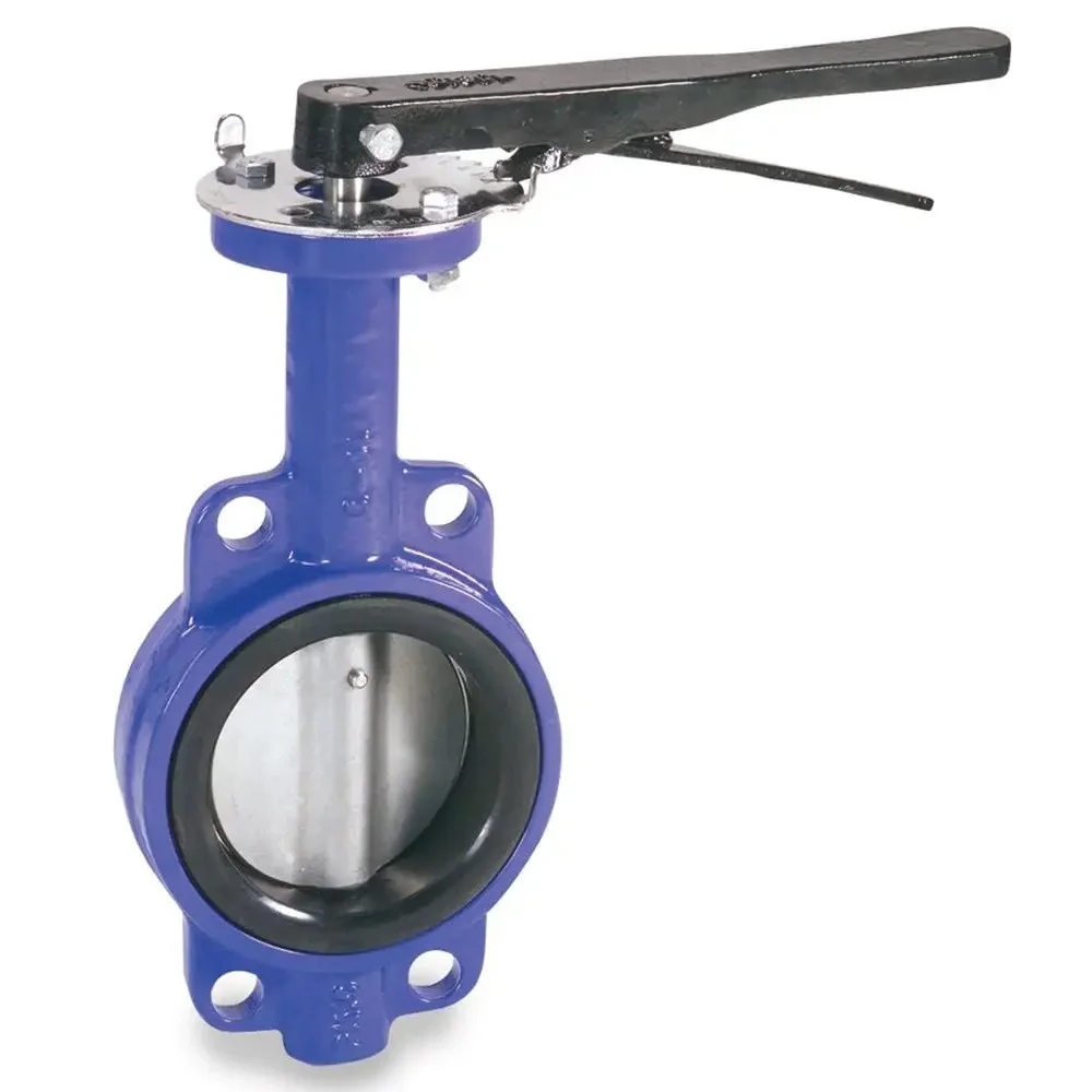 Hot Sale 4 Inch PTFE Cast Iron Manual Wafer Type Butterfly Valve Customizable OEM Options for General Applications