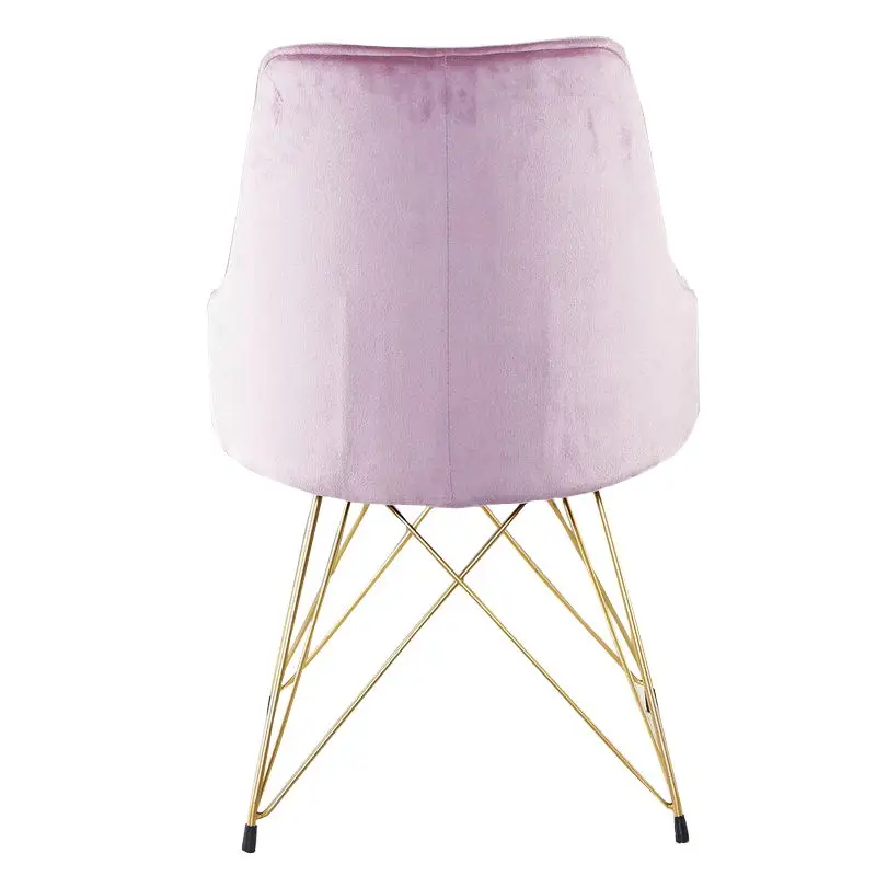 Home Furniture Wholesale Excellent Quality and Reasonable Price Preferred Dining Chair