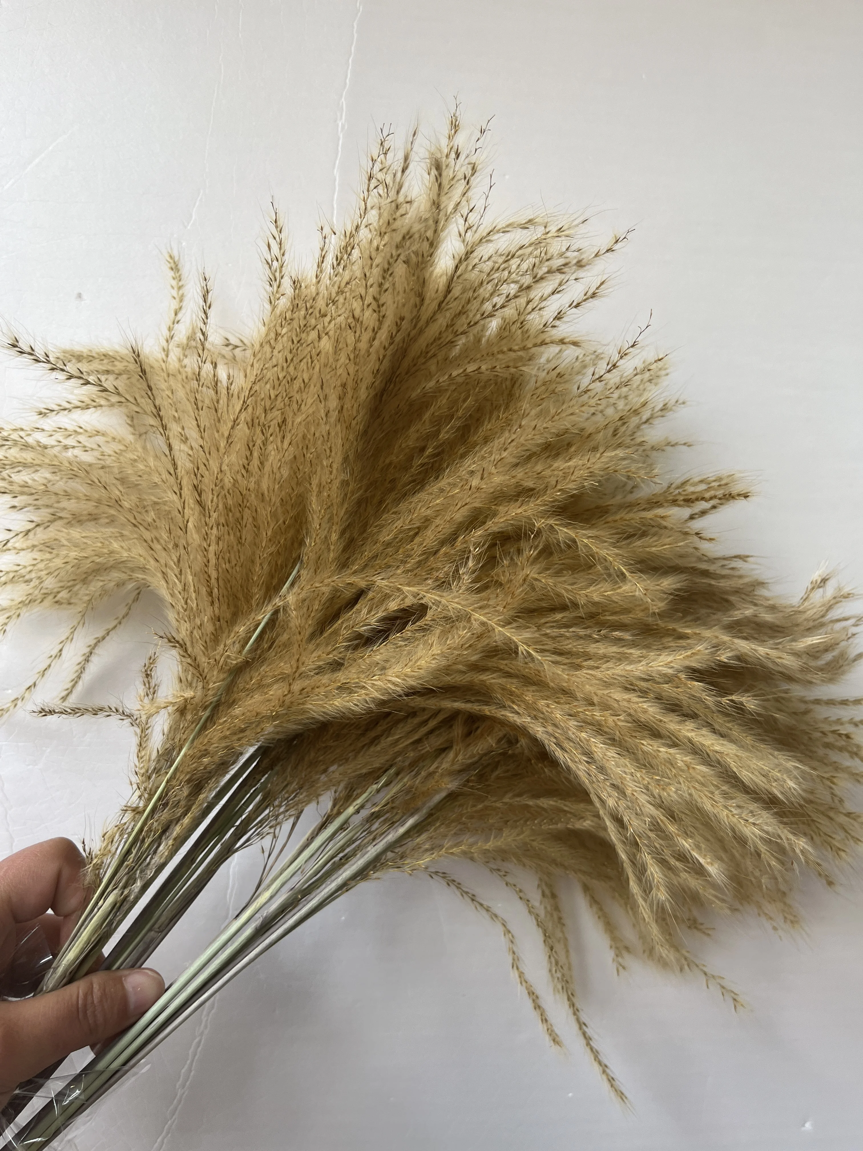 Factory Wholesale Feather Grass Dried Flower Bouquet Home Decoration Flowers