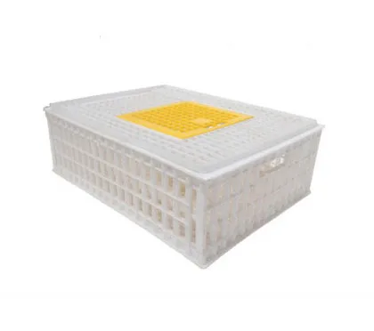 Chinese factory supply durable chicken transport basket for sale