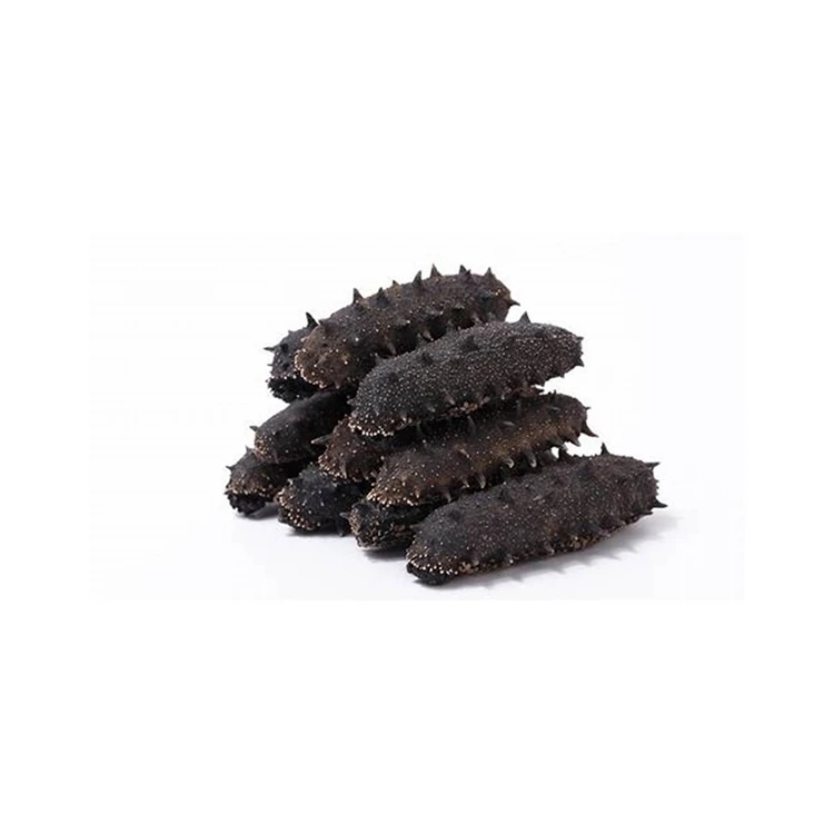 Hot selling dried sea cucumber / Top Quality Wholesale Dried Sea Cucumbers / Sun Dried Sea Cucumber Cheap price