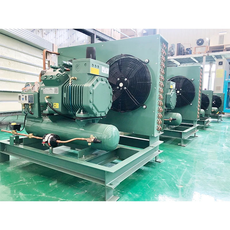 R404A 2P 3P 4P 5P Compressor Air Cooled Condensing Unit for Cold Freezer Room