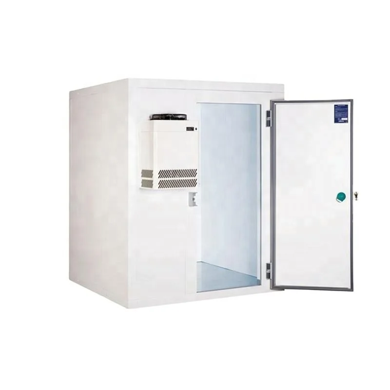 Freezing Chambers Cold Room Storage Freezing Chamber Froide Freezer Compressor Rooms Refrigerator Containers For Meat