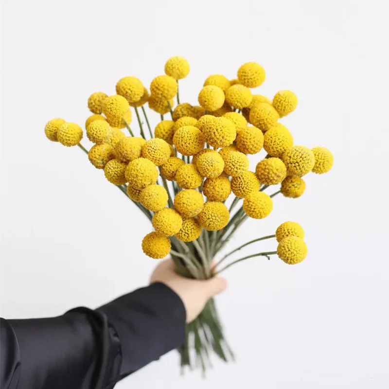 mini pampas dried flower whisk dry flower bouquet thailand