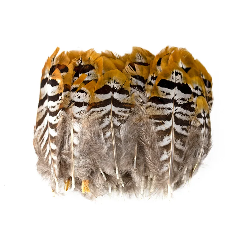 50 Piece/Bag Natural colorful wild chicken feather figure Pheasant feathers for DIY garment craft accessories width 6-16 cm