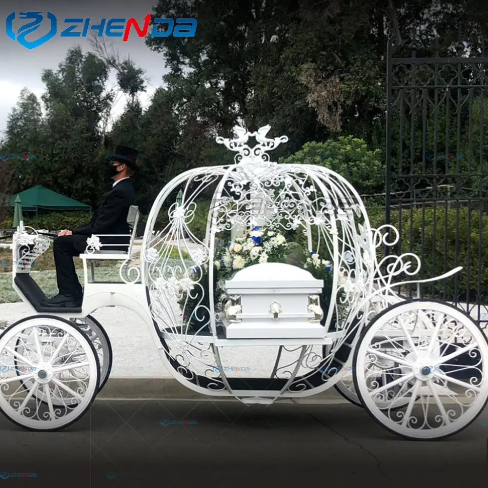 Простой белый погребальный конь классический автомобильный гроб с подсветкой по низкой цене