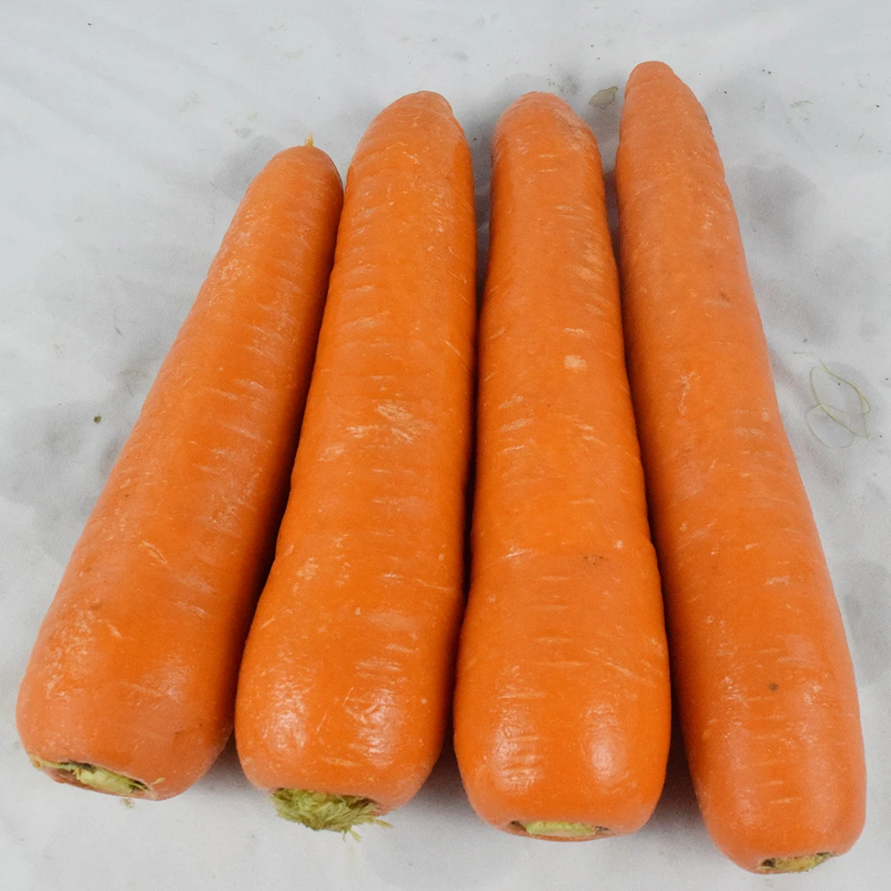Морковь свежая Органическая Морковь Высокое качество в картонной коробке профессиональный экспорт свежая Морковка