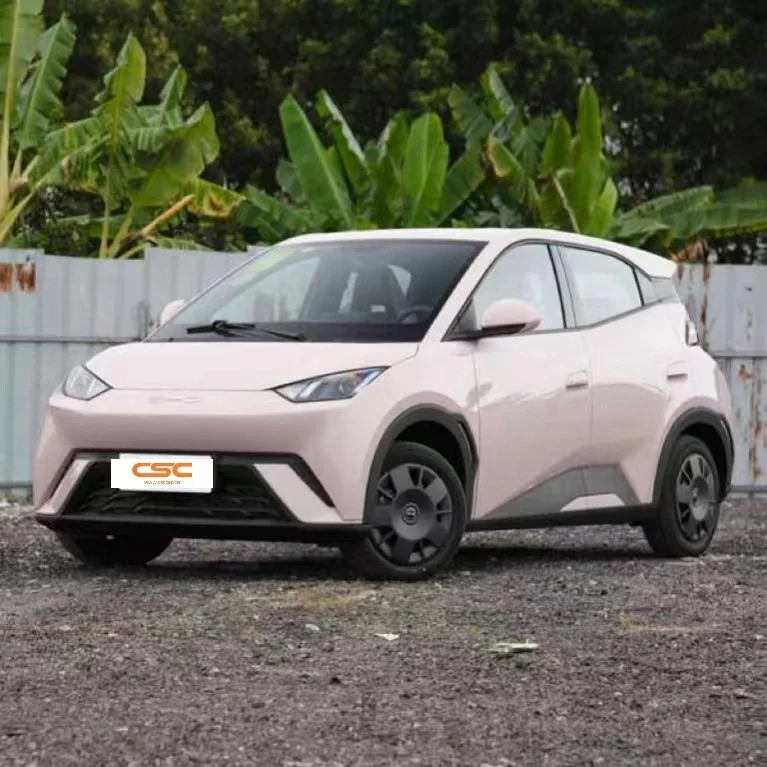 Small Electric Car Option with Eco-Friendly Design and Affordable Pricing