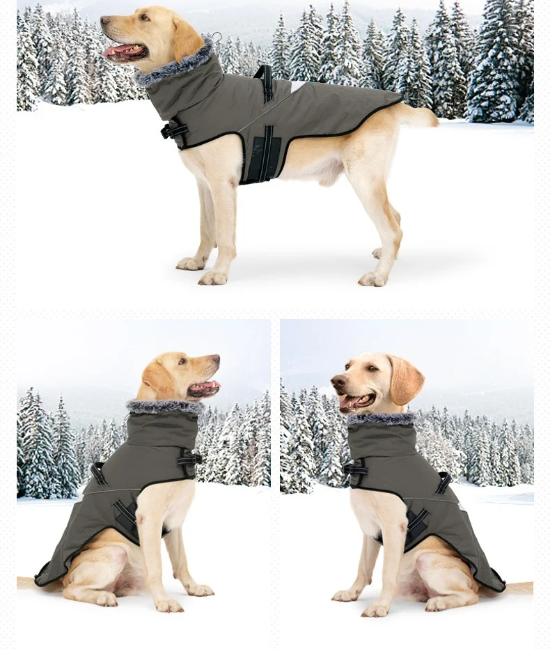 High Quality Pet Winter Coat Thickened warm waterproof turtleneck dog jacket dog coat