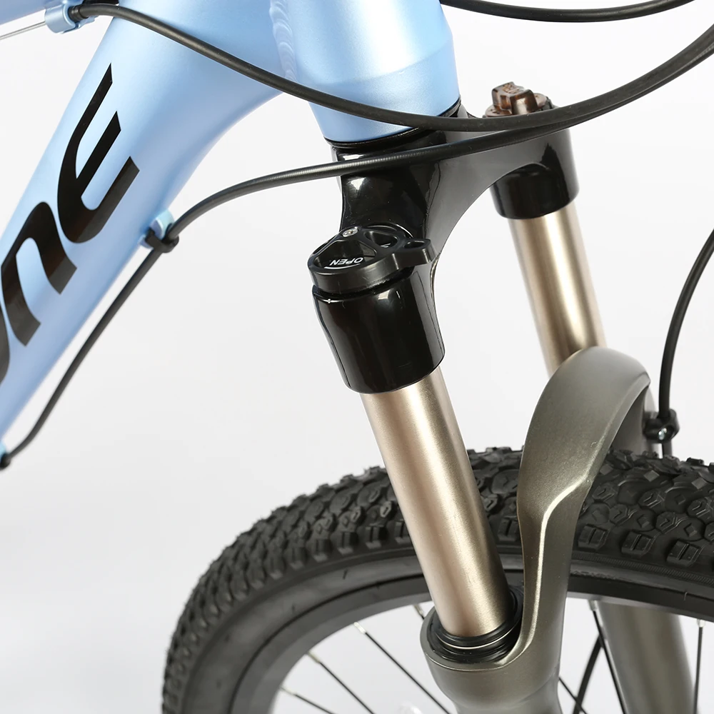 
OEM bike bicicletas mountain bike 29