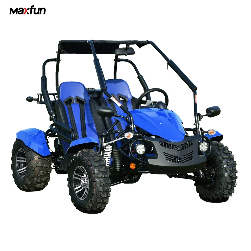 Max 70km/H Racing Mini Go Karting Cars 2players Buggy Adult