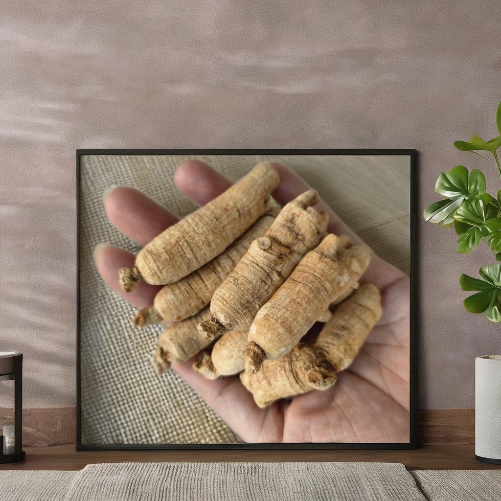High-Quality Health Tea from Jilin Changbai Mountain, Made with American Ginseng