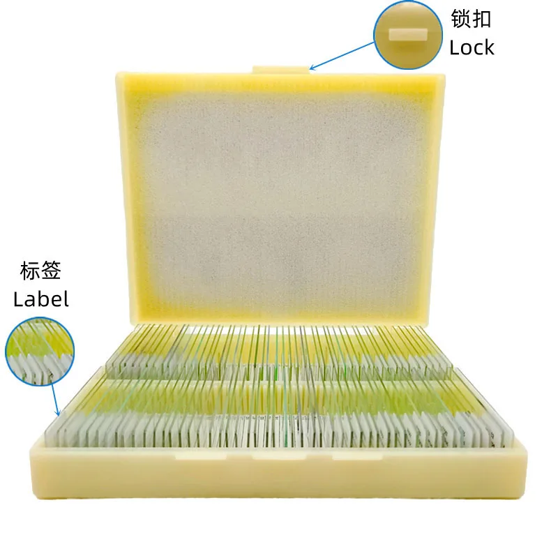 100 Items Animal Insect and Histology Specimen Prepared Slides Laboratory Apparatus Zoology Microscope Slides