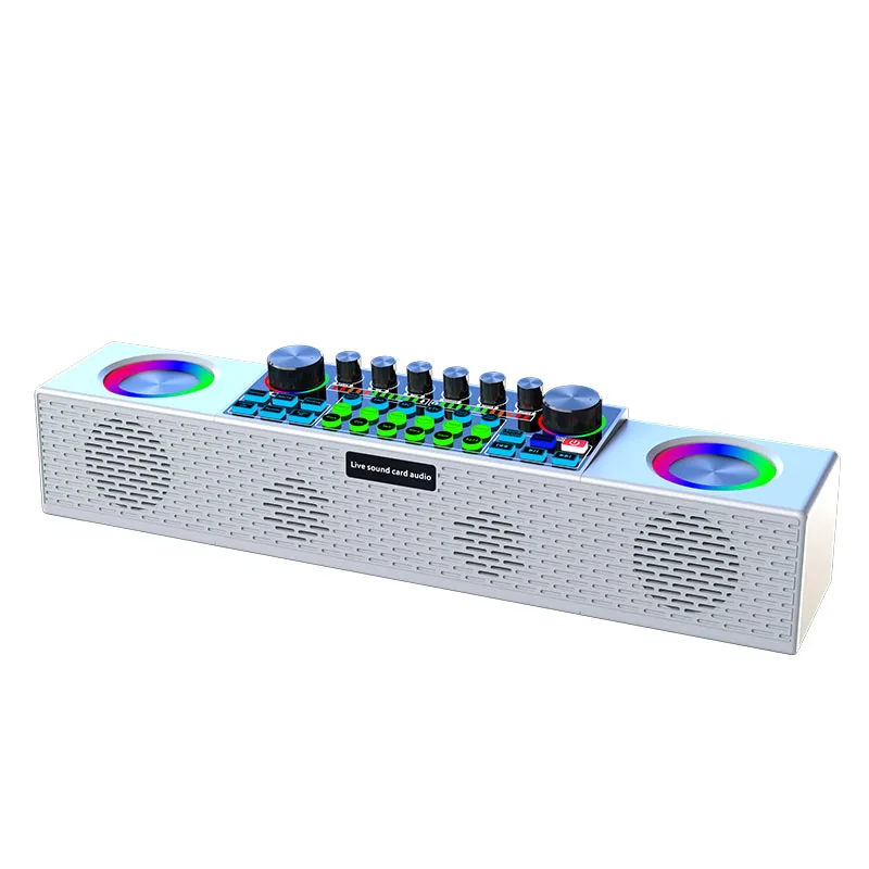 SY6 Portable Professional Wireless BT Speaker with 2 Microphones Sound Card integrated machine for Family Karaoke Singing Party