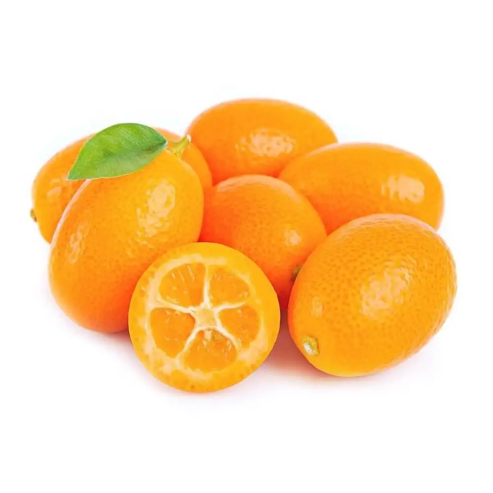 100% Pure Kumquat Lemon Juice For Bulk Calamansi Juice Concentrate