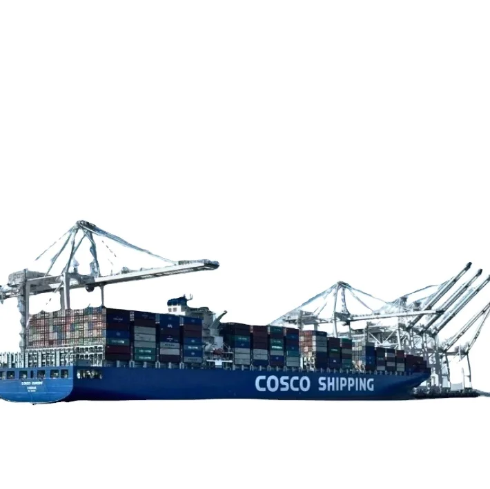 Cost-effective  sea freight forwarding ensuring secure  brand clothing shipping China to Spain