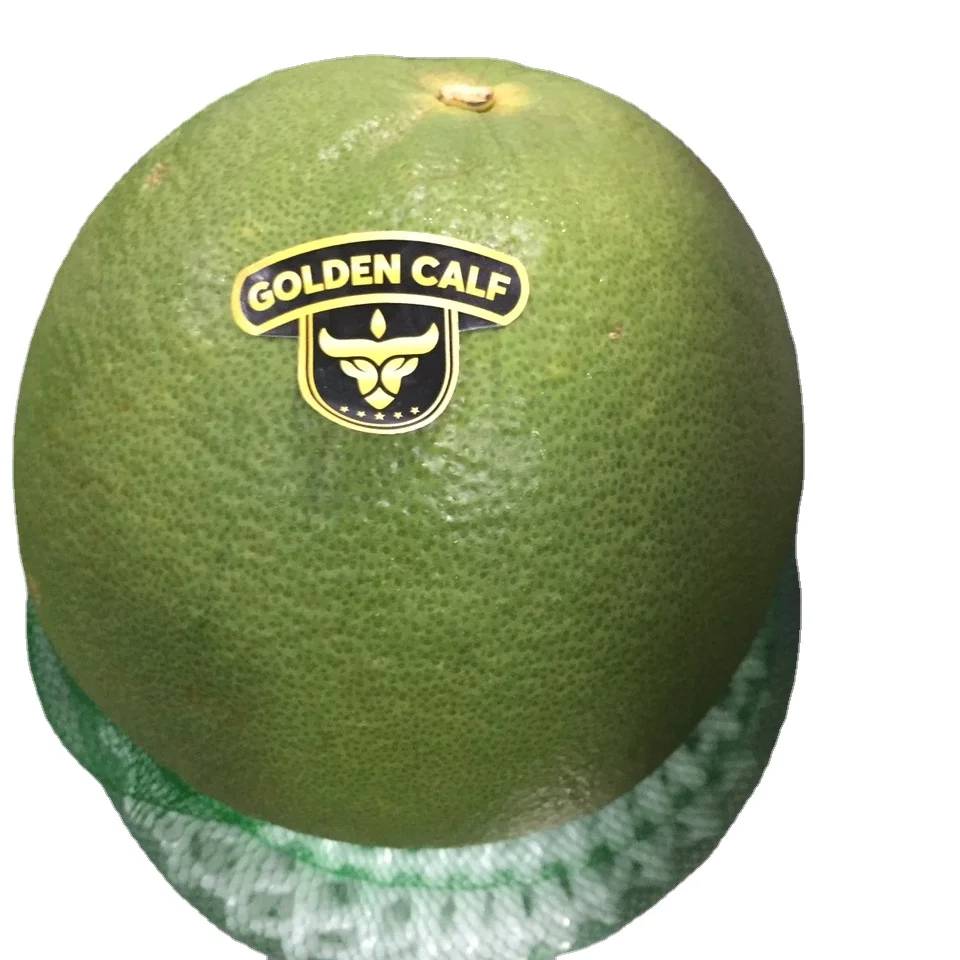FRESH GRAPEFRUIT/ POMELO EXPORT STANDARD PRICE FOR SALE Fresh Tropical Fruits from Vietnam - What.sapp Linda 0084989322607