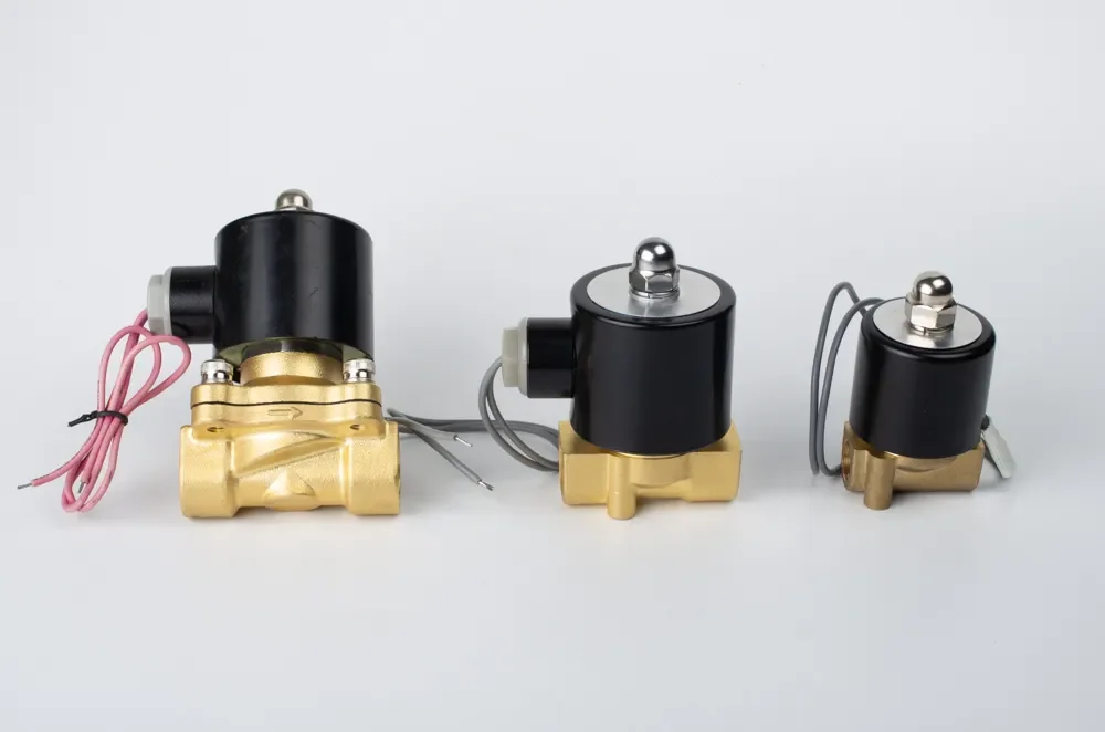 2W Normally Closed 2/2 Way Brass Solenoid Valve for Water Is Cheap 1/4in-2in DN15 DN20 AC220V / AC110V / DC24V / DC12V
