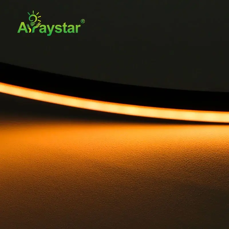 Unique black housing silicone LED neon strip 10*10mm 24V 3000K 6000K dotless waterproof IP67 LED neon flex rope light for sign