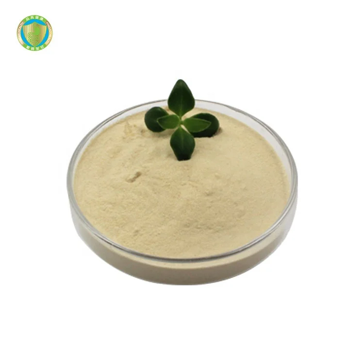 The Latest Design Fish Feed Additives Lactobacillus Plantarum Probiotic Powder