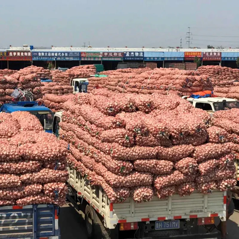 Good Quality Garlic Used As A Seasoning For Dishes 100% Dried Garlic Organic Packed In Box Vietnam Manufacturer