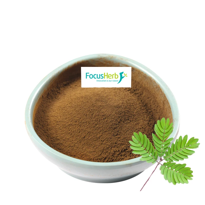 
FocusHerb Sensitive Plant Mimosa Pudica Extract Powder 