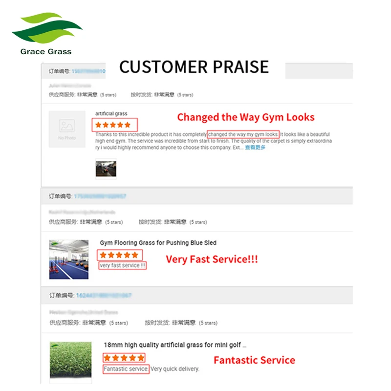 
Outdoor Gym Flooring Grass for Pushing Blue Sled, Gym Mat/ 