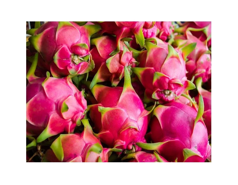 Свежий дракон фрукты сладкий импорт из Вьетнама-высокое качество белый/красный фрукты-свежий и