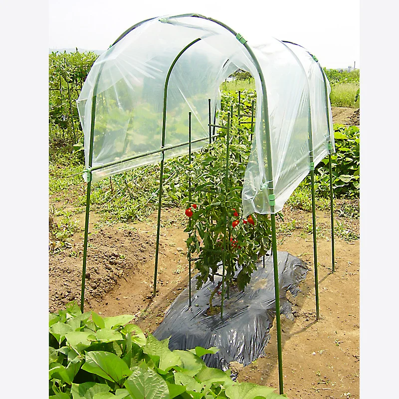 High quality garden metal flower trellis for garden support