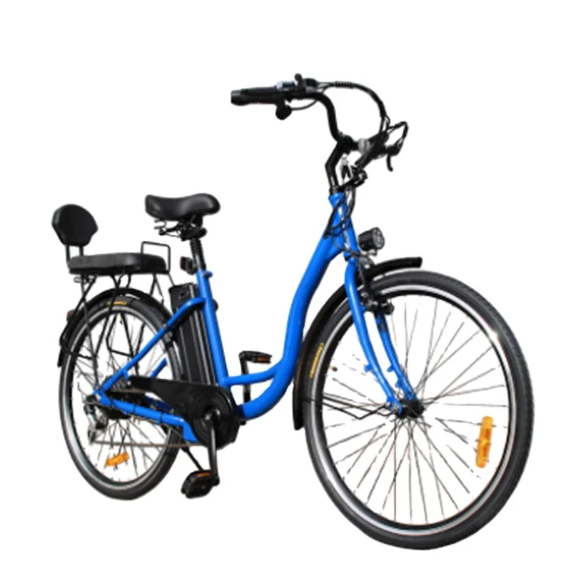 26 Inch Mountain E Bike Mtb E Bike Europe/best Electric Bike for Hills Standard 36V 250W Can Assemble in China and Europe