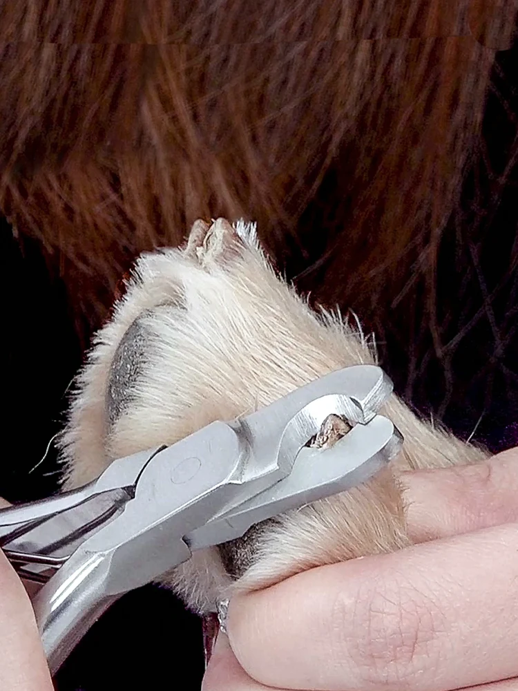 Professional Heavy Duty Dog Nail Trimmer, Full Martensite Steel Razor Sharp Blade,Ergonomic Non-Slip Handles