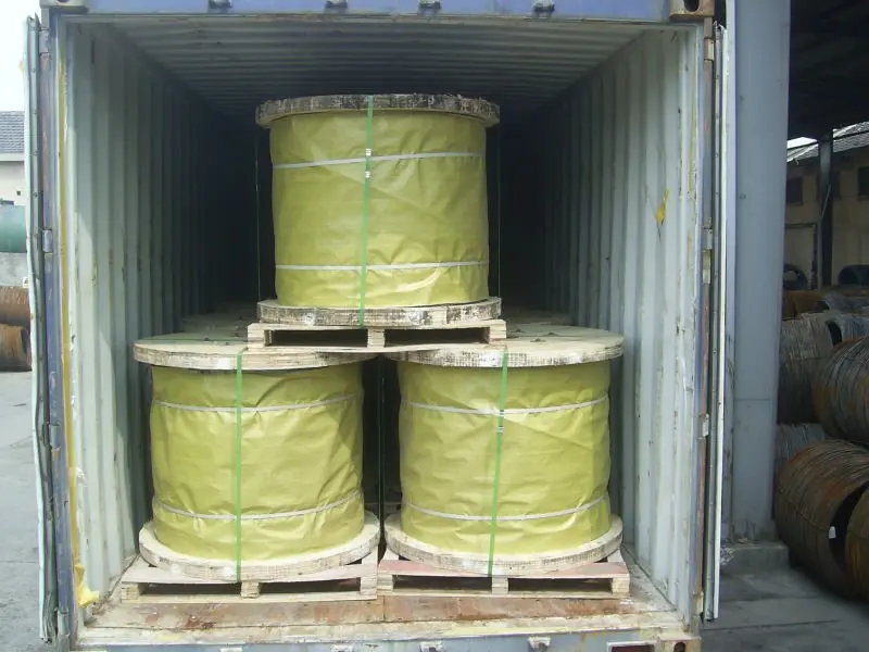 Wholesale Price 1*19 Structure Stranded Wire Hot-dip Galvanized Steel Wire Strand 19/2.54 mm in Wooden Reels