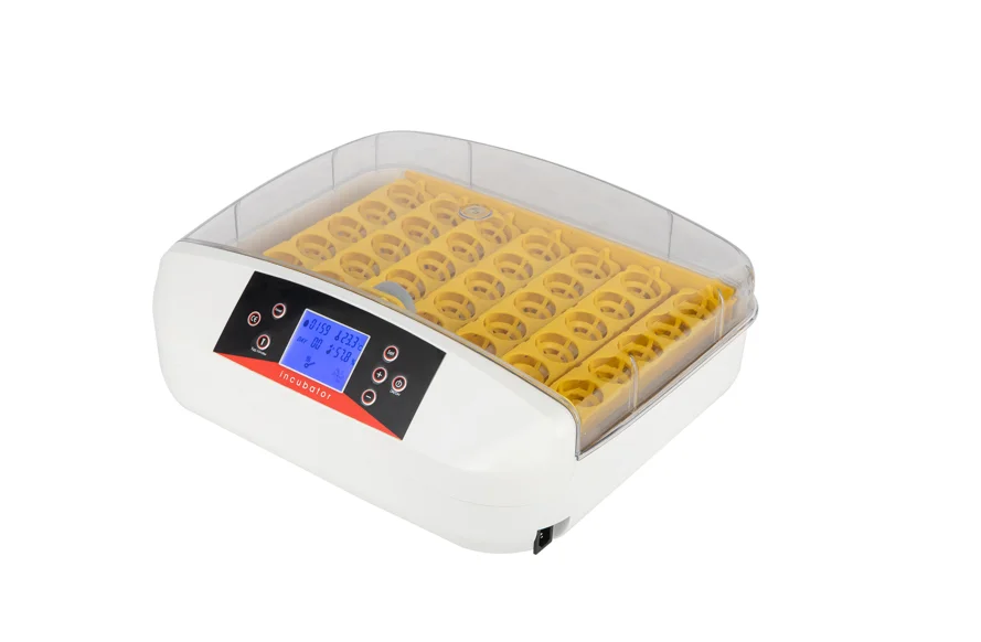 42-Egg Practical Fully Automatic Poultry Incubator with Egg Candler US Standard Yellow & & White & Transparent