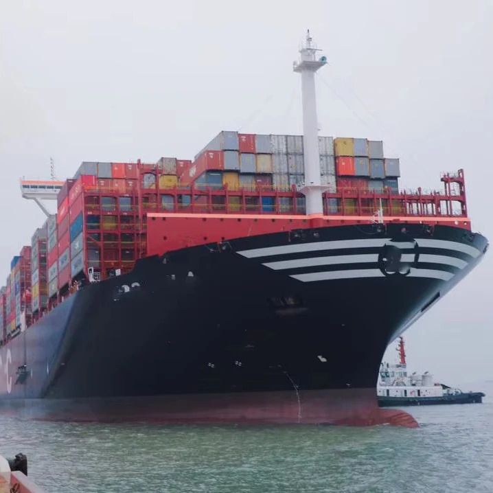 DDP DDU двойной налог на таможенную очистку морской экспедитор транспортный агент расходы поставщик логистических услуг Индия Шри-Ланка Пакистан
