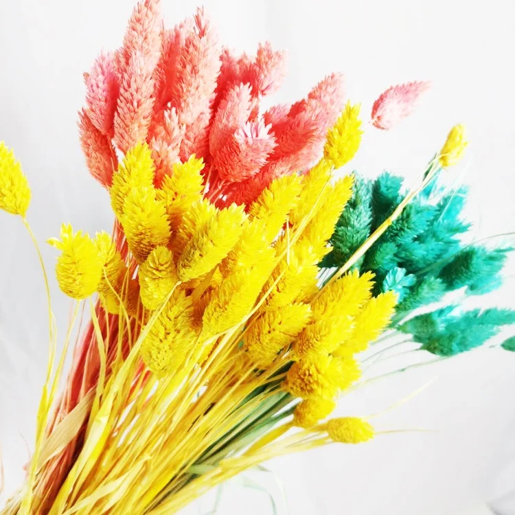 Summer Flora Wholesale natural decorative dried flowers jewelweed florist supplies for flower arrangement