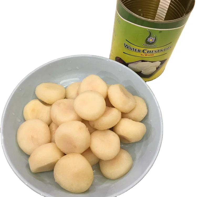 2021 Hot selling Various Professional Manufacturer Canned Goods Canned Vegetables Canned water Chestnut In Syrup 425g/567g