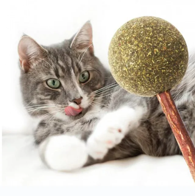 wholesale natural silvervine catnip balls silvervine stick with cat mint ball for cats