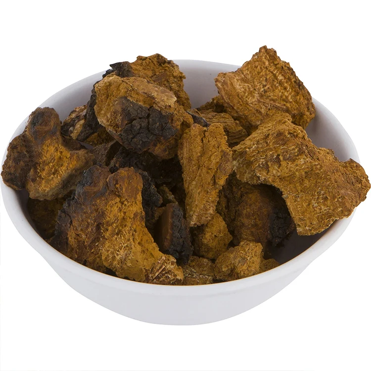 Inonotus Obliquus Solvent Extracted Mushroom Powder for Health Food Application Drum Packaging
