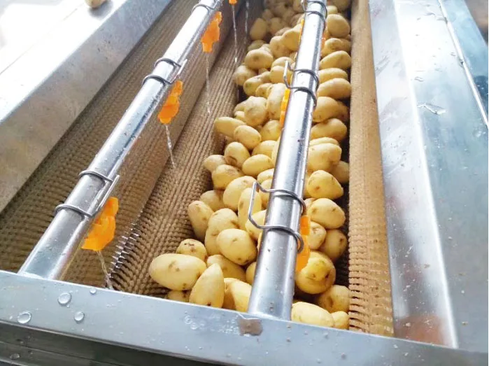 Automatic fruit and vegetable brush washing machine potato peeling machine price automatic manufacturer