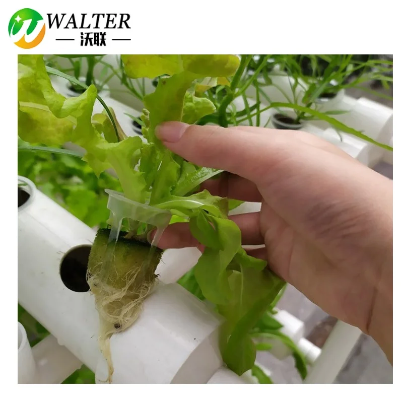 W20-35 сетчатый горшок для гидропонной системы NFT пластиковый выращивания растений