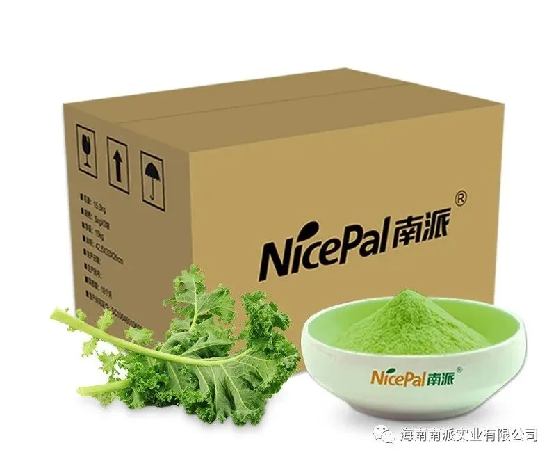 Natural super food spray dried kale powder rich in selenium dietary fiber for functional healthcare capsules tablets