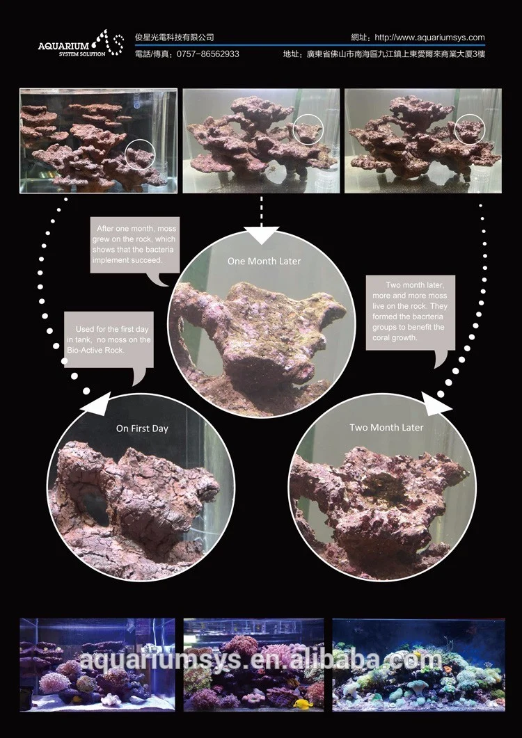 90CM fish tank Aquarium scaping bio-active rocks aquarium filter live rock function