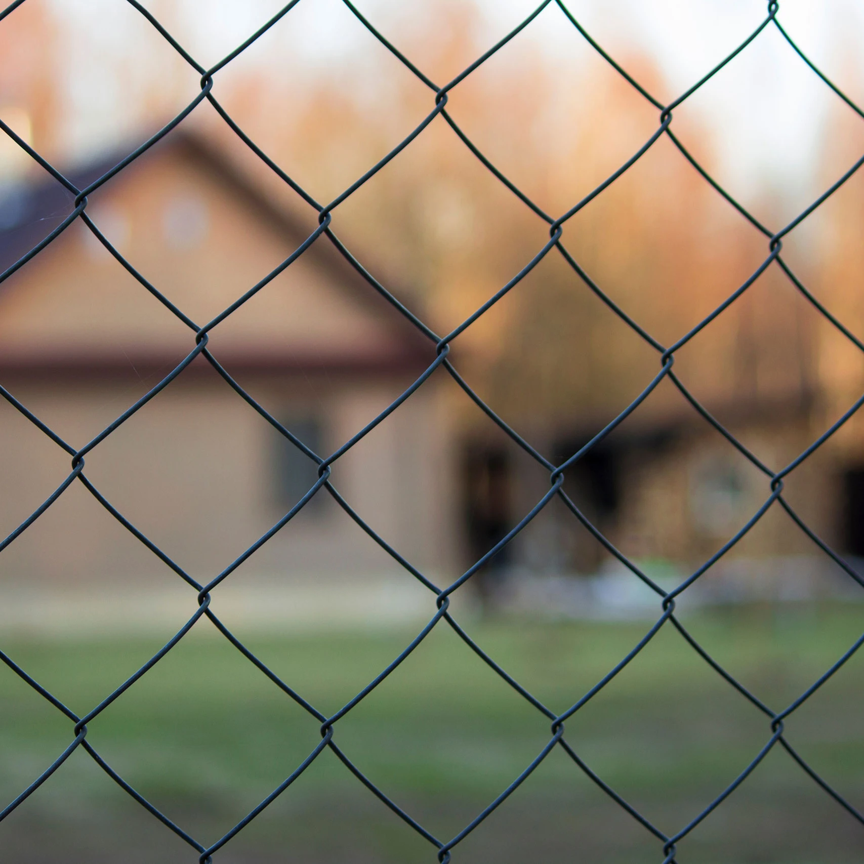 High quality PVC Black Vinyl Coated Chain Link Fence For Garden