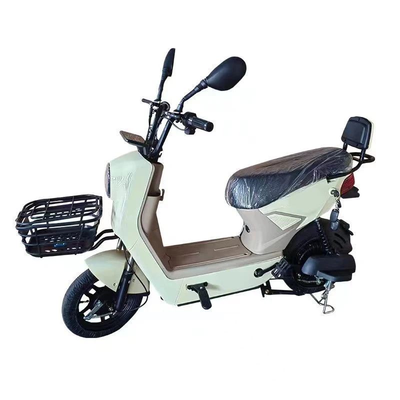 Paige Electric Bicycle Dual Motor 28 Inches Battery 48V Mini Ebike 150Km Range Oem Electric Bike 20 Inch Ideal